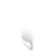 256