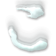 010