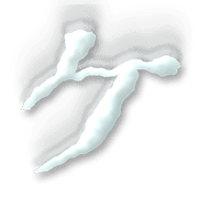 089