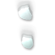 244