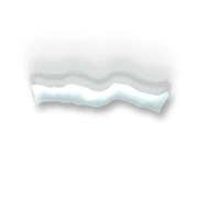 251