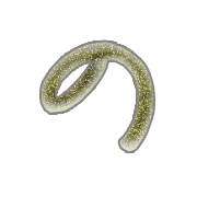 025