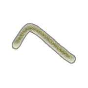 029