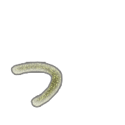 052