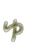 054