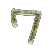 124