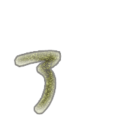 127
