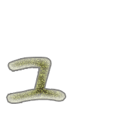 134
