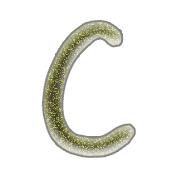 164