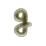 194
