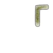 254