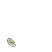 256