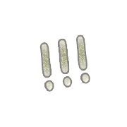 291