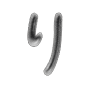 040