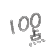 304