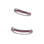 010