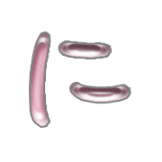 022