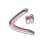 058