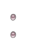 244
