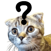 006