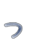 052