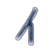 082