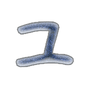 117