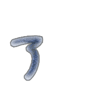 127