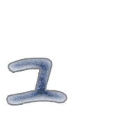 134
