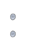 244