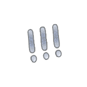 291