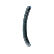 073