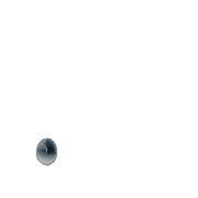 085