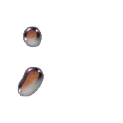 082