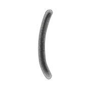073