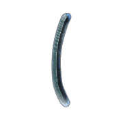 073