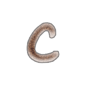 029