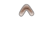 070