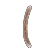 073