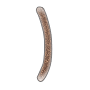 074