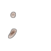 082