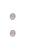 083