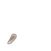 084