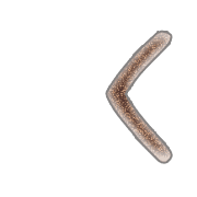 087