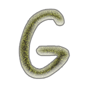 007