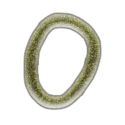 015