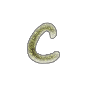 029