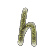 034