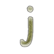 036