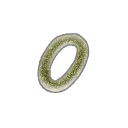 041